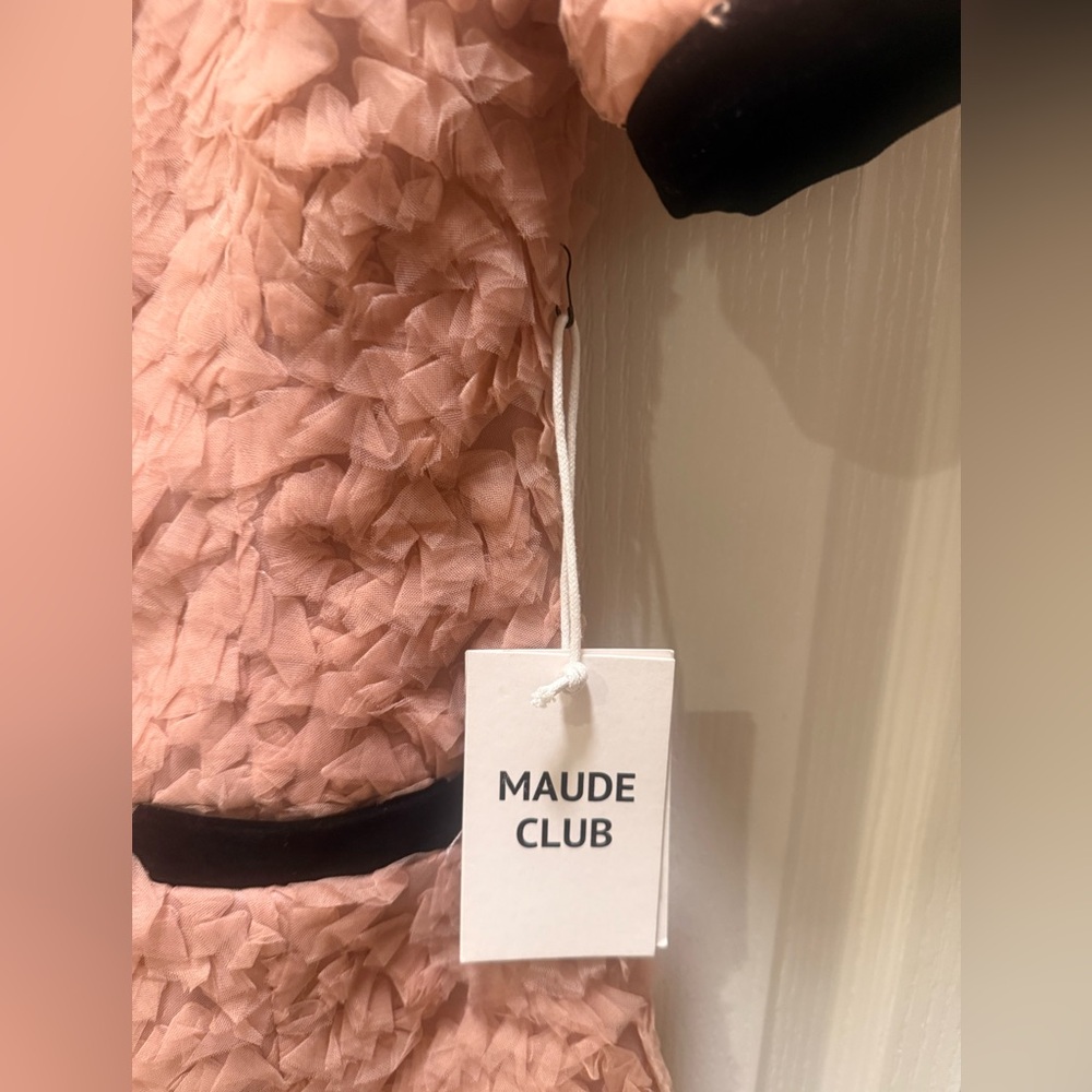 Maude Club Taylor Textured 3D Tulle Mini Dress in Dusty Rose Size S NWT - Picture 7 of 7